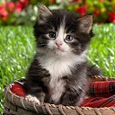 ���� Ihar., �����, 53 ���� - ��������� 8 ��� 2012 � ������ �������