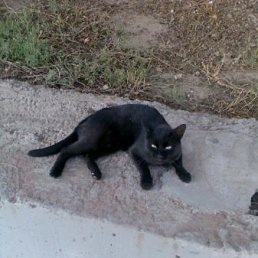 ���� ���������, ���������, 46 ��� - ��������� 14 ������� 2009