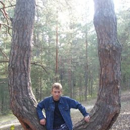 �������, �������, 47 ���