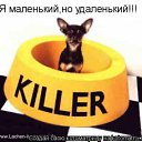  Killerdim, , 38  -  12  2012   