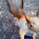 ���� ������ ~������~ ������ � �����, �������, 45 ��� - ��������� 21 ������� 2010 � ������ �������