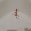 ���� ���������, ���������, 49 ��� - ��������� 1 ������� 2012