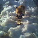  , --, 55  -  14  2011   