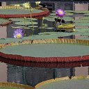 ���� ����� - ���������� ��������!!!, �����������, 56 ��� - ��������� 10 ������ 2010 � ������ ������� �����