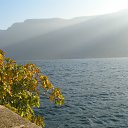 ���� Milla, ������ - ��������� 18 ������� 2011 � ������ ���� ����������