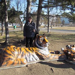 �����, ���������, 47 ���