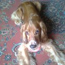 ���� ����, �����������, 61 ��� - ��������� 19 ������� 2011 � ������ ��� � ��������