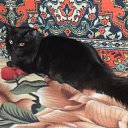 ���� �����, ������ ��������, 46 ��� - ��������� 25 ���� 2012