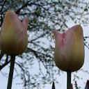 ���� ������, ������, 63 ���� - ��������� 5 ������� 2011 � ������ ������-���� �����....�