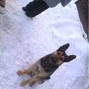 ���� ���������, ������-������, 36 ��� - ��������� 23 ������� 2011 � ������ ���� �����