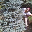 ���� ����, ������, 57 ��� - ��������� 8 �������� 2012 � ������ ���� ����������