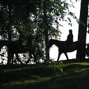 ���� �������, ������� - ��������� 24 ������� 2011 � ������ ���� ����������