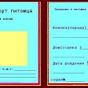  "",  -  2  2011    .