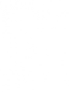 ��������, ����������, 65 ���