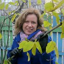 ���� ����, ������������� - ��������� 2 ������ 2011