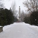  ,  , 50  -  10  2011    