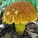 ���� ������, �����������, 65 ��� - ��������� 26 �������� 2011 � ������ �������� � �!�