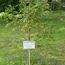 ���� ���������, ����������, 67 ��� - ��������� 25 ��� 2013 � ������ ������. �������.�