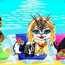  (  ),  , 54  -  12  2010    