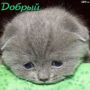 ���� ������, ���������, 35 ��� - ��������� 31 ������� 2012 � ������ ���� ����������