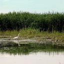 ���� ����������, ���������, 65 ��� - ��������� 17 ������ 2011 � ������ ��� ������.�