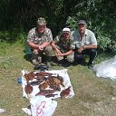  Ը, , 52  -  11  2013