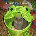 ���� Ը��� ������, ������, 53 ���� - ��������� 1 ������� 2010 � ������ ���� ����� ���������.�