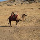 ���� ������, �����, 45 ��� - ��������� 21 ������� 2012 � ������ ����������� ���������