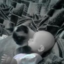 ���� ���@����@, �������, 49 ��� - ��������� 14 ����� 2010 � ������ ���� �����