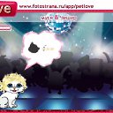 ���� ������, ���, 24 ���� - ��������� 14 ��� 2011 � ������ �PetLove�