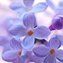  Back To Real Life, , 57  -  20  2012    