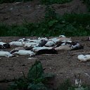 ���� �������, ������ - ��������� 11 ������� 2010 � ������ ��������