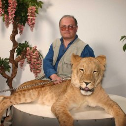 �������� �������, ������, 68 ���