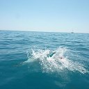 ���� �������, �����-���������, 40 ��� - ��������� 21 ����� 2013 � ������ ���� ����������