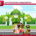  , , 74  -  23  2010   PetLove