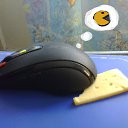 ���� �����, �����-���������, 38 ��� - ��������� 6 ������� 2010 � ������ ���� ����������