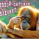 ���� �����, ���������������, 42 ���� - ��������� 5 ��� 2011