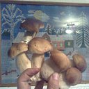 ���� �������, �����-���������, 53 ���� - ��������� 29 �������� 2012 � ������ ���� ����������