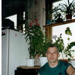 �����, 61 ���, �������