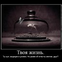 ���� �������, �����-���������, 47 ��� - ��������� 2 ���� 2013 � ������ �����ܻ