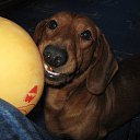 ����� �� ������� ����� ��� ������������