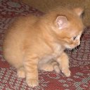 ���� ���������, ������ ��������, 46 ��� - ��������� 28 ������ 2009 � ������ ���� ��������: ������ � �����