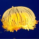 ���� ����� - ���������� ��������!!!, �����������, 56 ��� - ��������� 20 ������� 2009 � ������ ������������� ��������� � ��������� ���!�