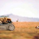 ���� ������, ��������������, 25 ��� - ��������� 5 ���� 2011 � ������ �������� ���������