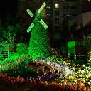���� Al, �����, 70 ��� - ��������� 29 ����� 2012 � ������ ���� ����������