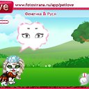  , , 31  -  18  2010   PetLove