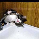 ���� ��������, �����-���������, 58 ��� - ��������� 20 ������ 2010 � ������ �������