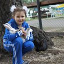    , , 44  -  20  2011   PetLove
