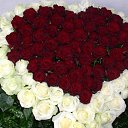 ���� �����, �����-���������, 44 ���� - ��������� 3 ��� 2010 � ������ ������� �������� ������� ����� ����� ������ �������
