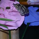 ���� ���������, �������, 62 ���� - ��������� 22 ���� 2012 � ������ �������